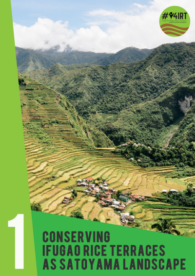 Conserving Ifugao Rice Terraces as Satoyama Landscape